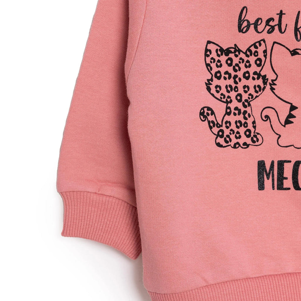 HelloBaby Baby Girl Cat Printed Sweatshirt - Light Rose